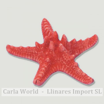Red starfish 20-25cm.