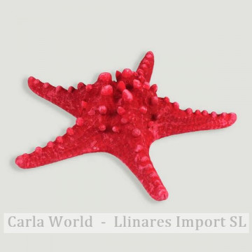 Red starfish 8-10cm.
