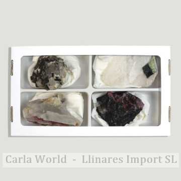 Tourmalines in Matrix. (Al4).