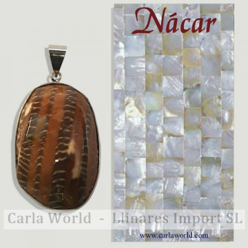 NAUTILUS IRISADO. Silverplated pendant.