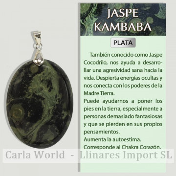 JASPE KAMBABA. Pendentif en argent. Formes assorties.