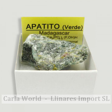 4x4 box - Green apatite -...