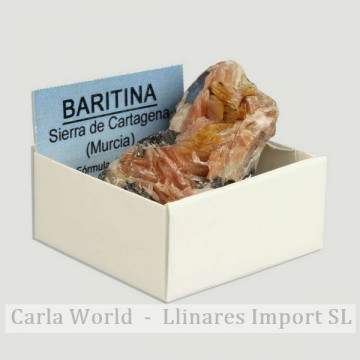 Cajita 4x4 - Baritina Sierra Cartagena - Murcia