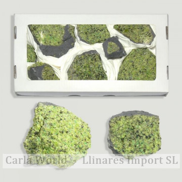 Caja Olivino - USA. Mediano