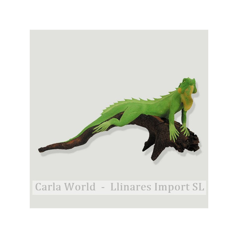 Iguana madera. Mediana Iguana madera. Mediana