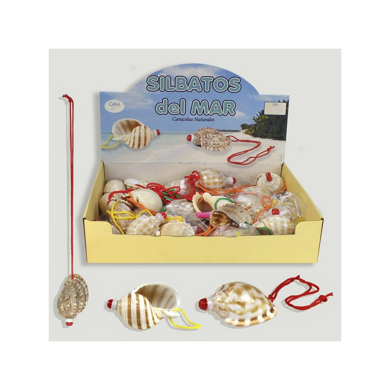 SIFFLETS DE LA MER. Sifflet dans des coquillages assortis. SIFFLETS DE LA MER. Sifflet dans des coquillages assortis.