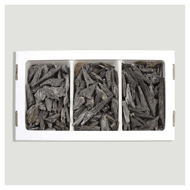 Witch's Broom (Taramita). 1Kg. 26x14cm. Witch's Broom (Taramita). 1Kg. 26x14cm.