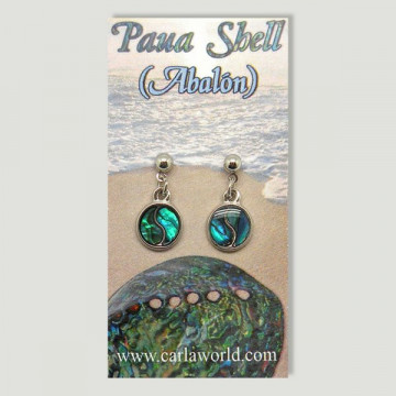 Hook 34 - Abalone Earrings....