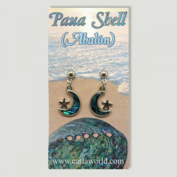 Hook 35 - Abalone Earrings....