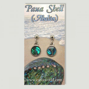 Hook 44 - Abalone earrings....