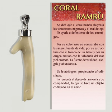 CORAL DE BAMBU. Pingente ramos de diferentes formas e tamanhos.