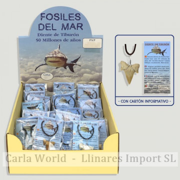 FOSSILES DE LA MER. Dent de...