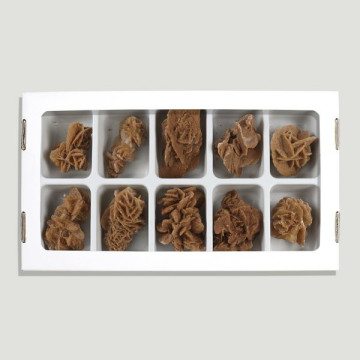 Desert Rose 3-4.5cm approx. (Al10)