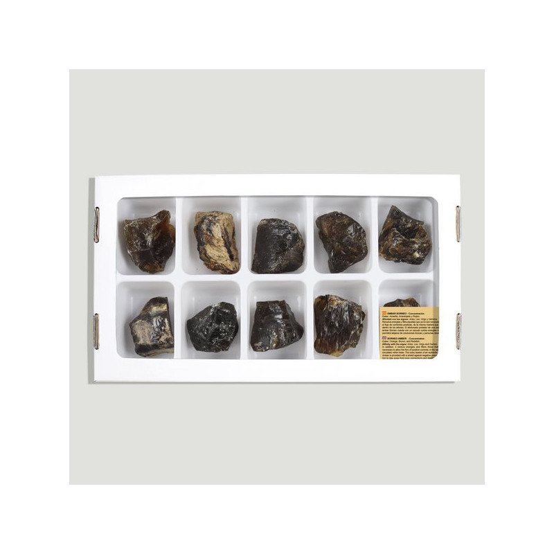 Ámbar Borneo 3-4,5cm. (Al10) Ámbar Borneo 3-4,5cm. (Al10)