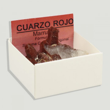 Morocco Red Quartz (L) 4x4