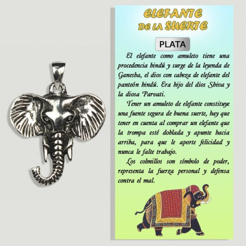 Elefante modelo cabeza....