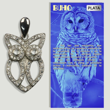 OWL. Silver pendant with...