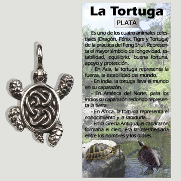 TORTUGA TIERRA. Colgante...