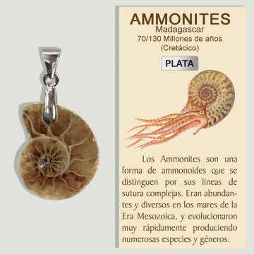 AMMONITES. Mini Silver Pendant.