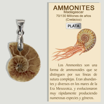 AMMONITES. Mini pendentif en argent.