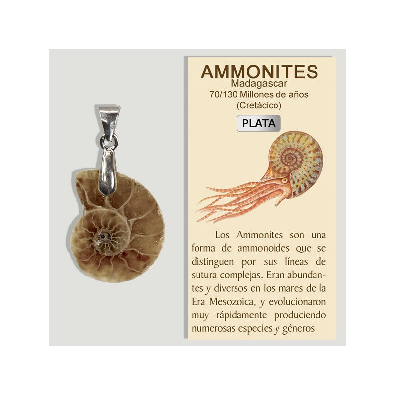 AMMONITES. Mini pendentif en argent. AMMONITES. Mini pendentif en argent.
