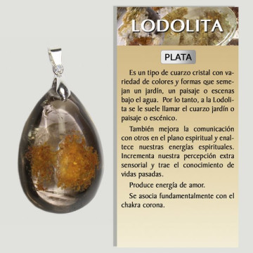 LODOLITE. Grand pendentif en argent. Formes assorties.