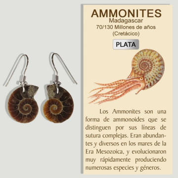 AMONITES. Mini brincos de...