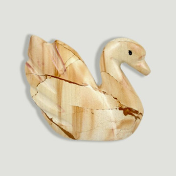 Cygne onyx Pakistan,...