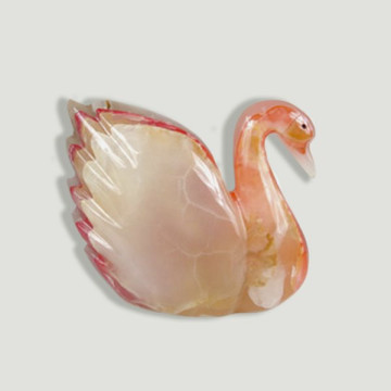 Cisne ónix coloreado....