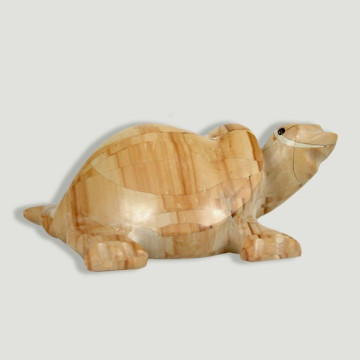 Pakistan Onyx Turtle,...