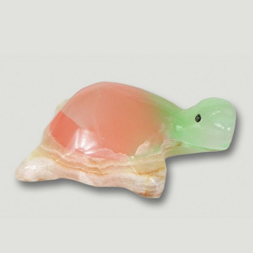 Tortuga ónix coloreado....