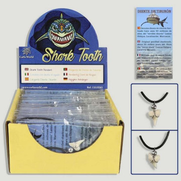 SHARK TOOTH. Shark Tooth...