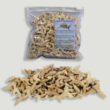 Fossil Shark Teeth. Quality A. Bag 250gr.