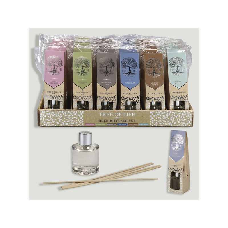 Expositor Aceite Difusor 50ml+5stick Árbol de la Vida 45x31x22cm Expositor Aceite Difusor 50ml+5stick Árbol de la Vida 45x31x22cm