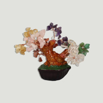 Mixed Bonsai/Chakra. Mini. 12cm approx.