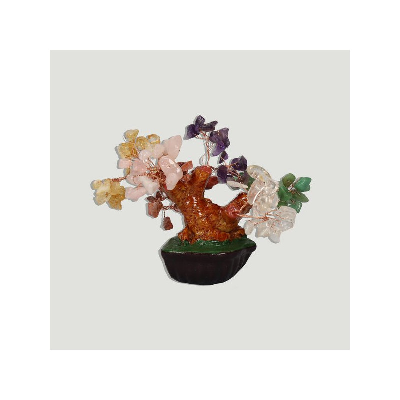 Mixte Bonsaï/Chakra. Mini. 12cm env. Mixte Bonsaï/Chakra. Mini. 12cm env.