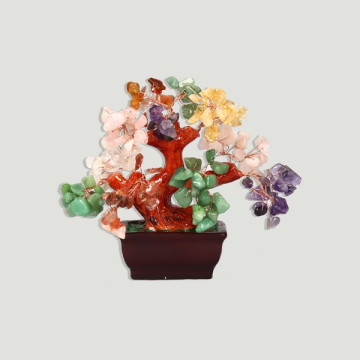 Mixed Bonsai/Chakra. Little. 15cm approx.