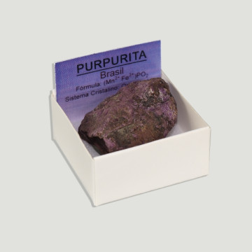 4x4 Box – Purpurita (large) – Brazil.