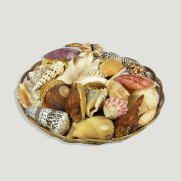 Cesta Frutos del Mar 30cm