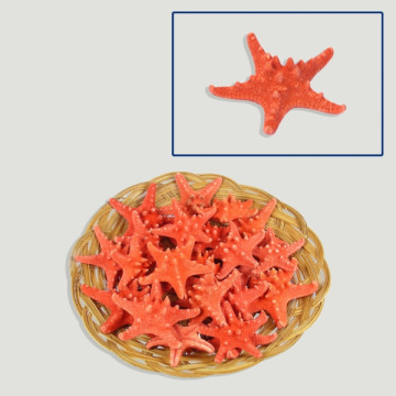 Red knotty Starfish 5-8cm 25u