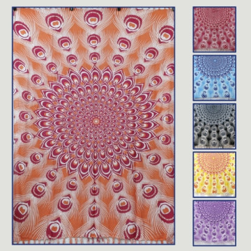 Pareo Rayón. 35. Plumas...