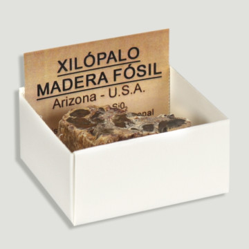 Cajita 4x4 - Xilopalo...