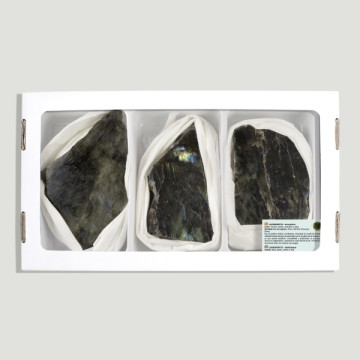 Labradorite 1 face polished 8-10cm approx- (Al3)