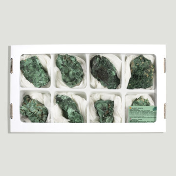 Fibrous malachite 4.5-6cm-(Al8) 8