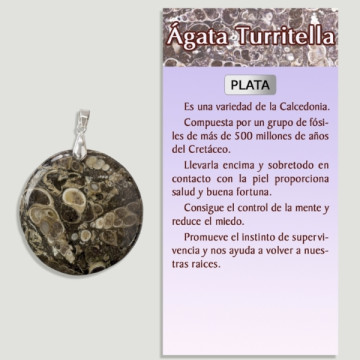 AGATE TURRITELA Pendentif en argent - Forme assortie