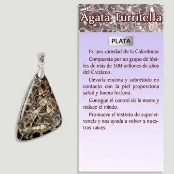 AGATE TURRITELA Pendentif en argent - Forme assortie