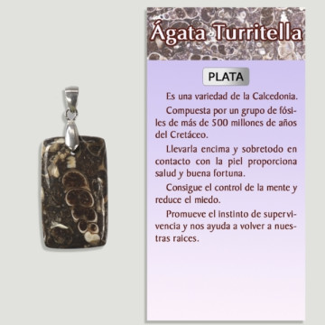TURRITELA AGATE Silver pendant - Assorted shape