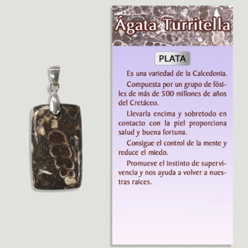 AGATE TURRITELA Pendentif en argent - Forme assortie