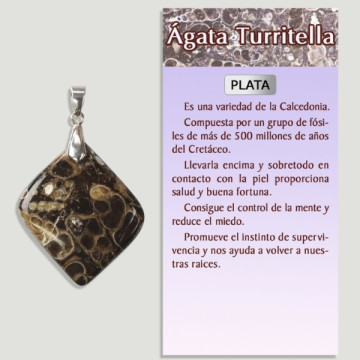 AGATE TURRITELA Pendentif en argent - Forme assortie