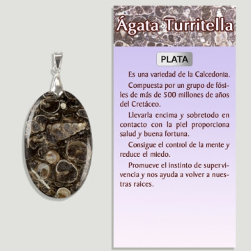 TURRITELA AGATE Silver pendant - Assorted shape